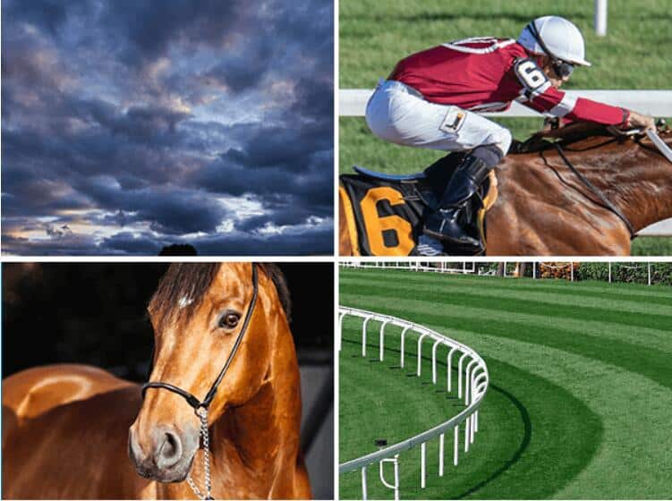 INDIBET India Horse Racing Online Betting