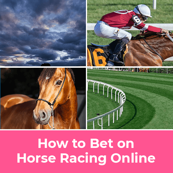 How to Bet On INDIBET Horse Racing Online and Win